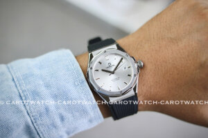 CARNIVAL 8168G-VT-DCS-T