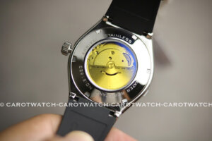 CARNIVAL 8168G-VT-DCS-X