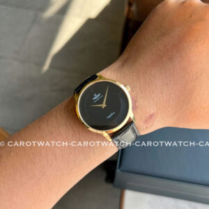 SRWATCH-SG3004.4601CV-CAROTWATCH-5