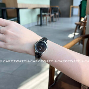 SRWATCH-SL3004.4101CV-CAROTWATCH-3