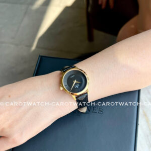 SRWATCH-SL3004.4601CV-CAROTWATCH-3