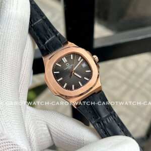 CARNIVAL-8161L-VH-DD-D-CAROTWATCH-12