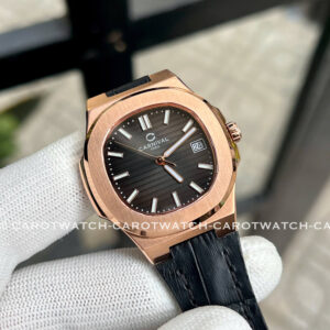 CARNIVAL-8161L-VH-DD-D-CAROTWATCH-13