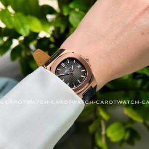 CARNIVAL-8161L-VH-DD-D-CAROTWATCH-14