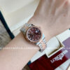 CARNIVAL 8131L-CH-N