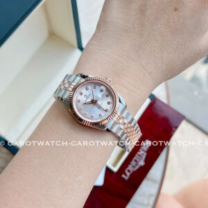 CARNIVAL-8131L-CH-T-HINH-5