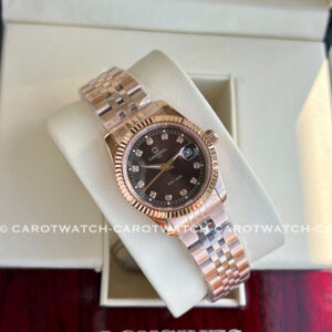 CARNIVAL-8131L-VH-N-HINH-2