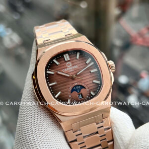 CARNIVAL-8110G1-VH-N-HINH-3