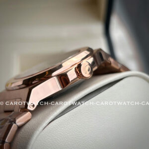 CARNIVAL-8110G1-VH-N-HINH-4