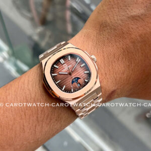 CARNIVAL-8110G1-VH-N-HINH-7