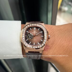 CARNIVAL 8128G-VH-DD-N