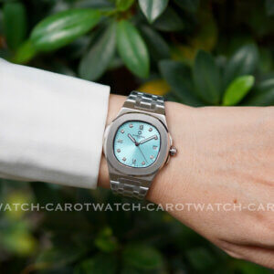 CARNIVAL 8160L-VT-XT