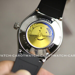 CARNIVAL 8168G-VT-DCS-X