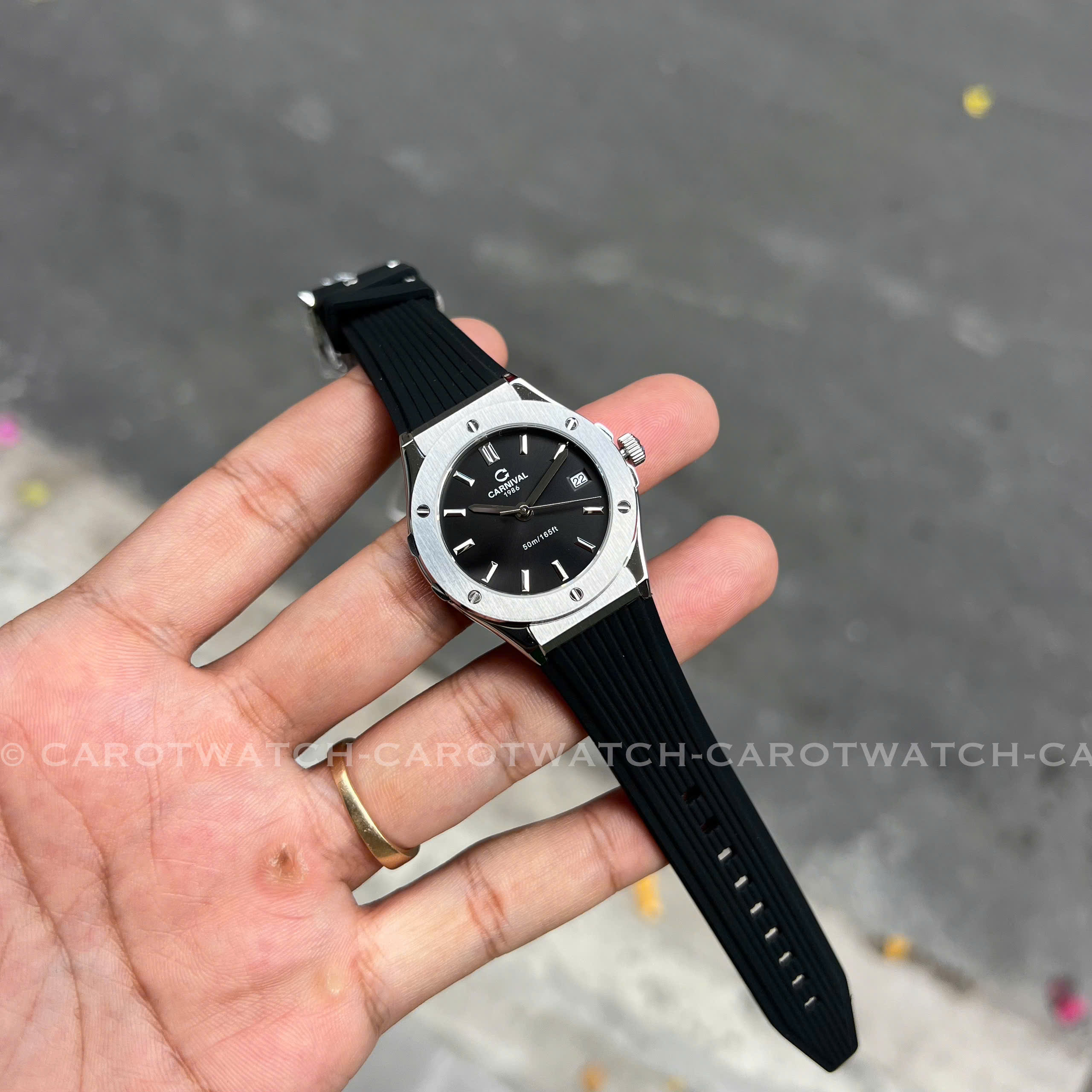 CARNIVAL 8168L-VT-DCS-D CARNIVAL 8168L-VT-DCS-D