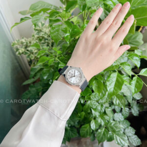 CARNIVAL 8168L-VT-DCS-T