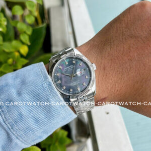 CARNIVAL 8131G-VT-DK-XA-CU-DEN