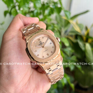 CARNIVAL 8160G-VH-NN-SUNDUST-CAROTWATCH