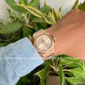 CARNIVAL 8160G-VH-NN-SUNDUST-CAROTWATCH