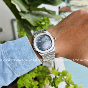 CARNIVAL 8160G-VT-DK-XA-CU-DEN