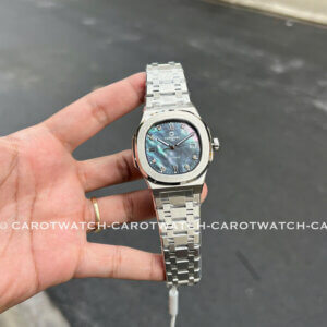 CARNIVAL 8160G-VT-DK-XA-CU-DEN