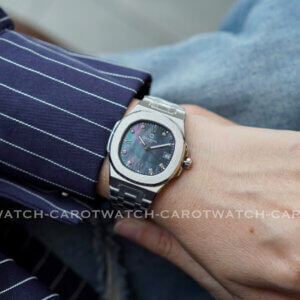 CARNIVAL 8160L-VT-XCD