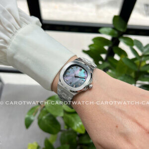 CARNIVAL 8160L-VT-XCD