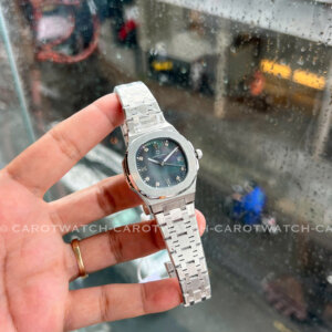 CARNIVAL 8160L-VT-XCD