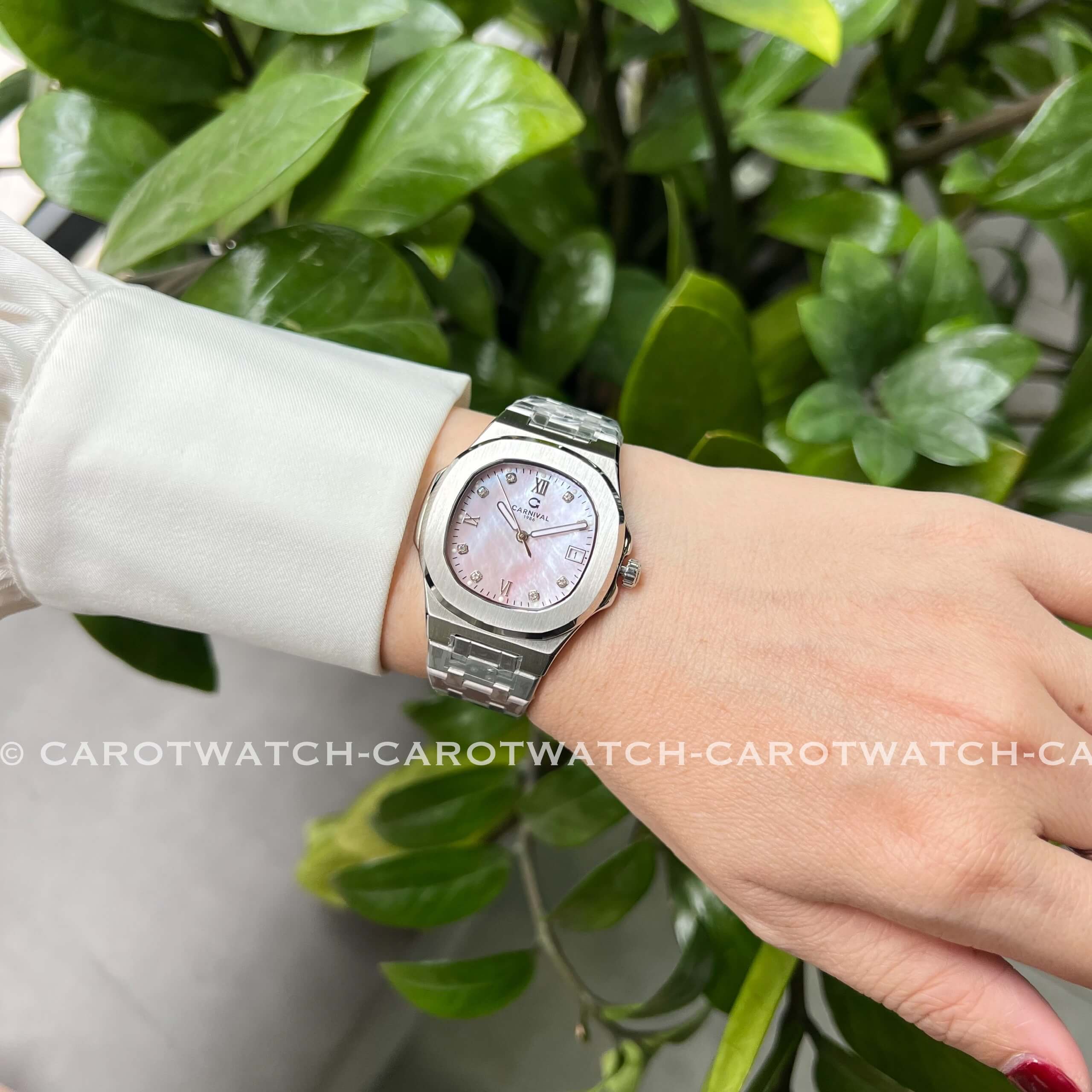 CARNIVAL 8160L-VT-XCH CARNIVAL 8160L-VT-XCH