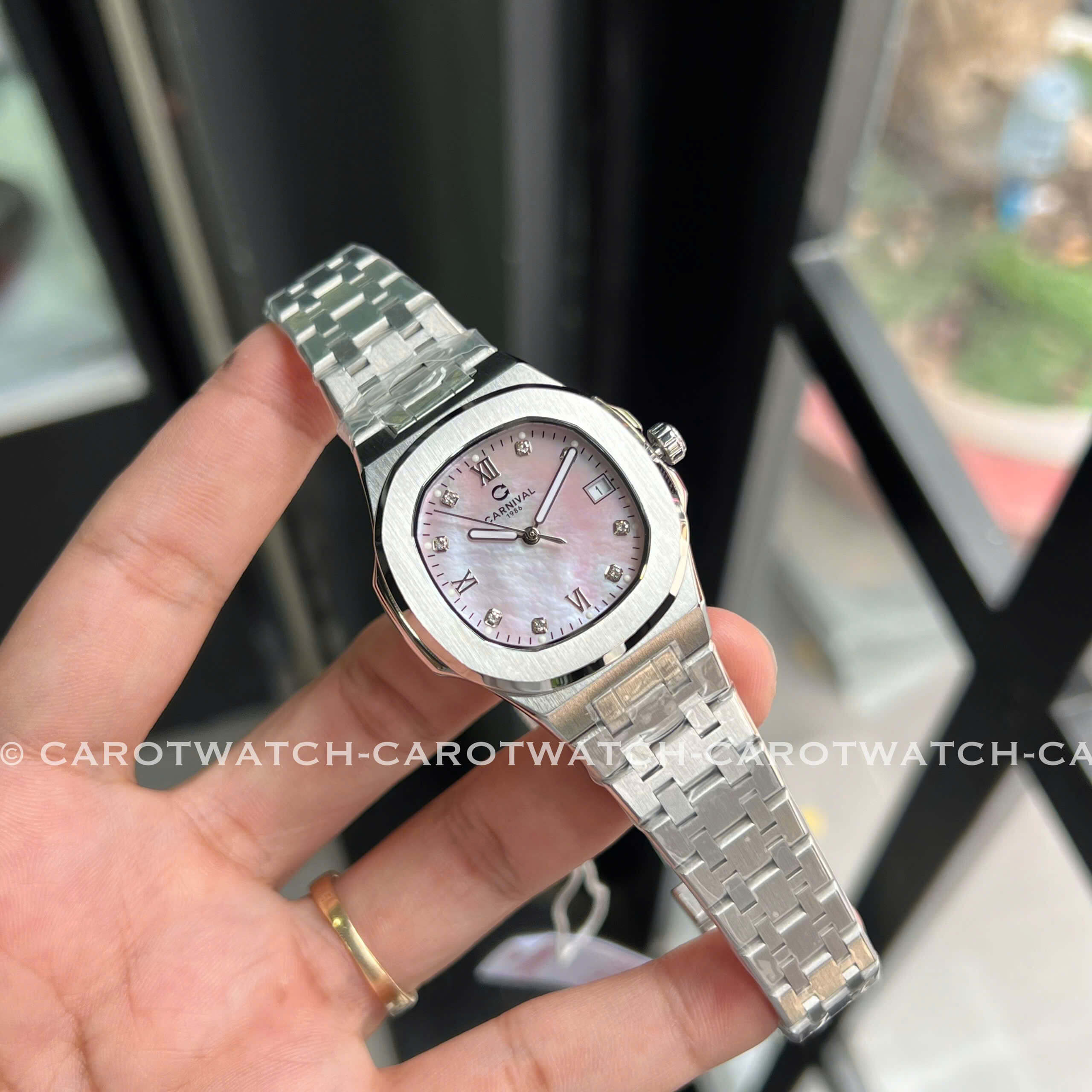 CARNIVAL 8160L-VT-XCH CARNIVAL 8160L-VT-XCH