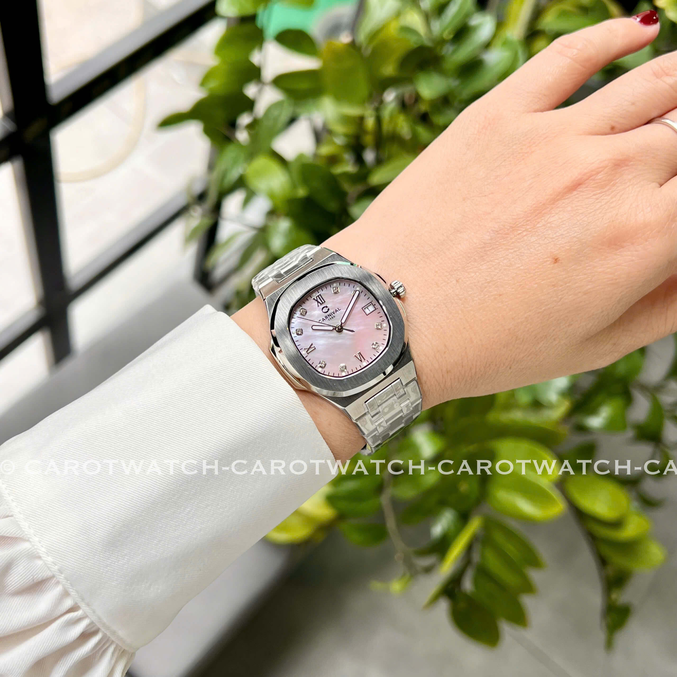 CARNIVAL 8160L-VT-XCH CARNIVAL 8160L-VT-XCH