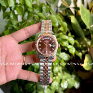 CARNIVAL 8190G-CH-N-CAROTWATCH