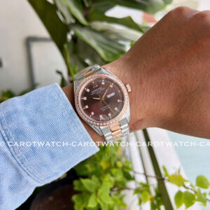 CARNIVAL 8907G-CH-N-CAROTWATCH