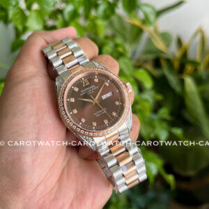 CARNIVAL 8907G-CH-N-CAROTWATCH