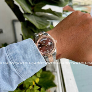 CARNIVAL 8190G-CH-N-CAROTWATCH