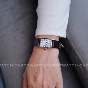 CARNIVAL 8231L-VT-DD-T